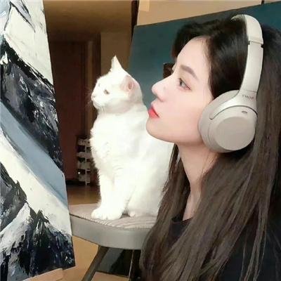 拾荒者统治